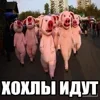 🐷 Эмодзи «пизда» для Telegram