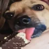 🍦 Эмодзи «пизда» для Telegram