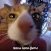 🔞 Эмодзи «пизда» для Telegram