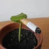 🚬 Эмодзи «пизда» для Telegram