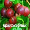 🤦‍♀ Эмодзи «пизда» для Telegram