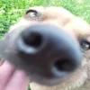 👅 Эмодзи «пизда» для Telegram