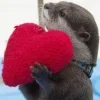 🥰 Эмодзи «Выдрочки» для Telegram