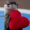 🥰 Эмодзи «Выдрочки» для Telegram