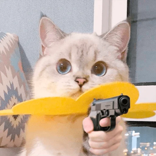 🔫 Стикер «Nana the charming cat» для Telegram