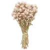 💐 Эмодзи «clean girl» для Telegram