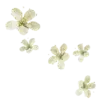 🌼 Эмодзи «clean girl» для Telegram