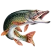 🐟 Эмодзи «Skazka Ot» для Telegram