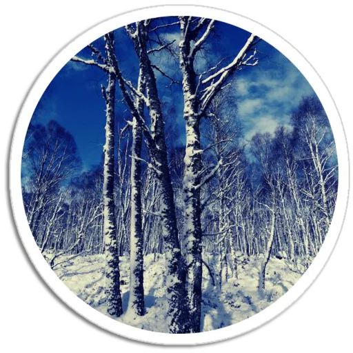 🌲 Стикер «Nature Scenes» для Telegram