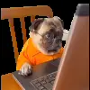 🤓 Эмодзи «Trends #memes #animals» для Telegram