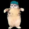 🕺 Эмодзи «Trends #memes #animals» для Telegram