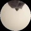 🐱 Эмодзи «Trends #memes #animals» для Telegram