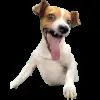 🐶 Эмодзи «Trends #memes #animals» для Telegram