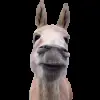 🫏 Эмодзи «Trends #memes #animals» для Telegram