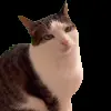 😐 Эмодзи «Trends #memes #animals» для Telegram