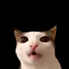 😋 Эмодзи «Trends #memes #animals» для Telegram
