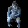 🦍 Эмодзи «Trends #memes #animals» для Telegram