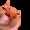 😐 Эмодзи «Trends #memes #animals» для Telegram