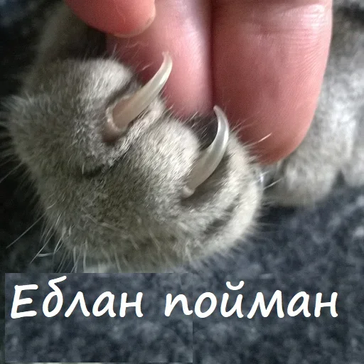 🤝 Стикер «Unpleasant» для Telegram