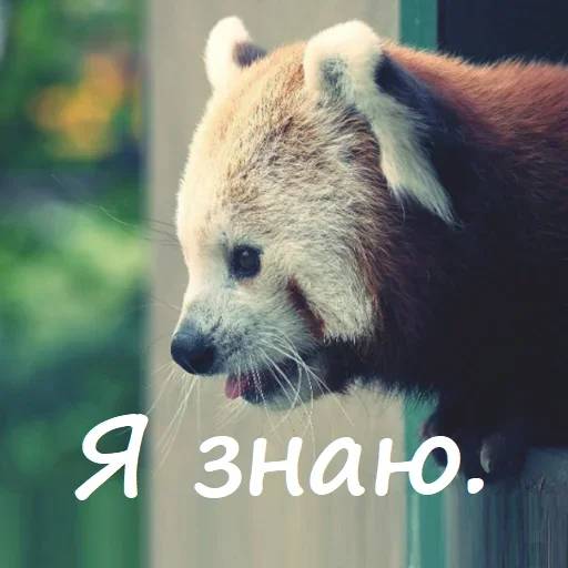 🤓 Стикер «Unpleasant» для Telegram