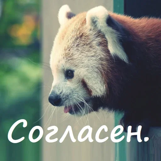 👍 Стикер «Unpleasant» для Telegram