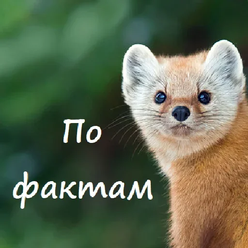 🤔 Стикер «Unpleasant» для Telegram
