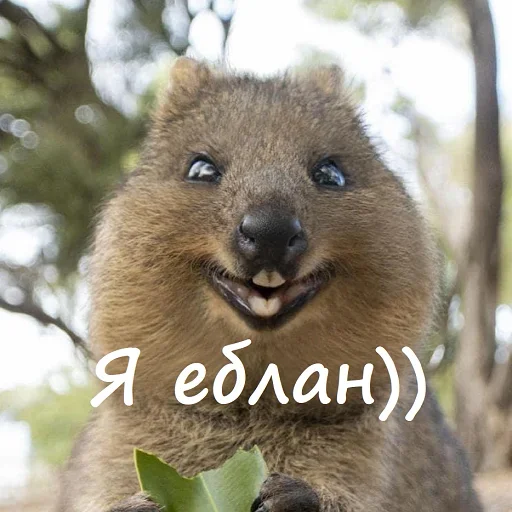 😊 Стикер «Unpleasant» для Telegram