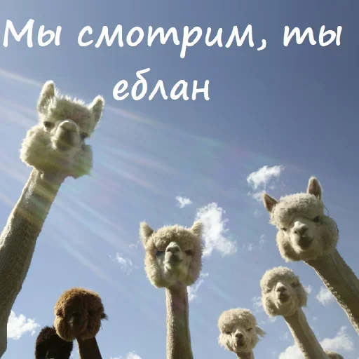 😎 Стикер «Unpleasant» для Telegram