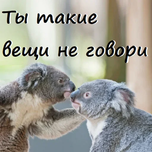 🤔 Стикер «Unpleasant» для Telegram