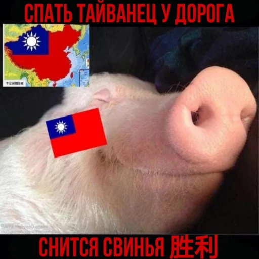 🇹🇼 Стикер «Нефритовый стержень» для Telegram