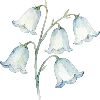 🥀 Эмодзи «Нежно И Хрупко» для Telegram