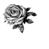 🌹 Эмодзи «Doomsday Angels» для Telegram