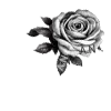🌹 Эмодзи «Doomsday Angels» для Telegram