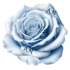 🌹 Эмодзи «Angels Of Genesis» для Telegram