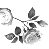 🌹 Эмодзи «Angels Of Genesis» для Telegram