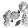 🌹 Эмодзи «Lacewoven Oleander» для Telegram