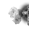 ✝️ Эмодзи «Lacewoven Oleander» для Telegram