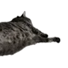 🐈‍⬛ Эмодзи «Lacewoven Oleander» для Telegram