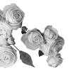 🌹 Эмодзи «Lacewoven Oleander» для Telegram