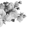 🌹 Эмодзи «Lacewoven Oleander» для Telegram