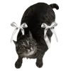 🐈‍⬛ Эмодзи «Lacewoven Oleander» для Telegram