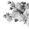🌹 Эмодзи «Lacewoven Oleander» для Telegram