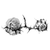 🌹 Эмодзи «Rose Garden» для Telegram