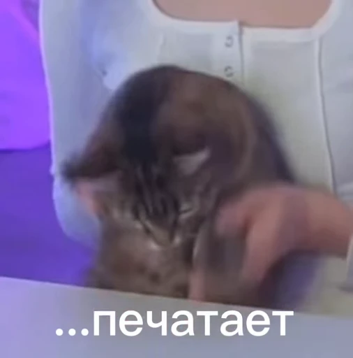 🥁 Стикер «Ненормисы» для Telegram