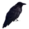 💀 Эмодзи «symbols 2» для Telegram