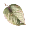 🍃 Эмодзи «vintage - винтажные» для Telegram