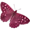 🦋 Эмодзи «Мотыльки И Бабочки» для Telegram