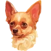 🐶 Эмодзи «Собачник» для Telegram
