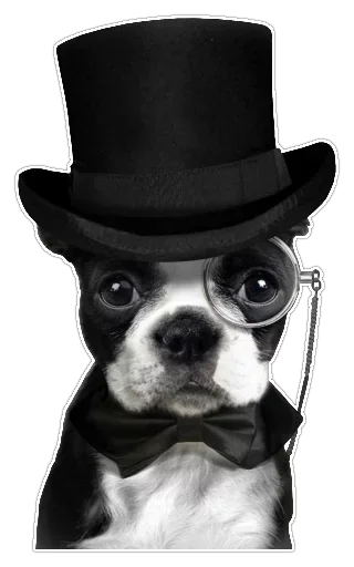 😡 Стикер «Super Huevo» для Telegram