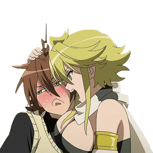 akame ga kill